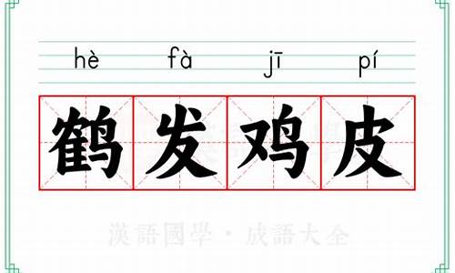 鹤发鸡皮的谜语-鹤发鸡皮打一数字