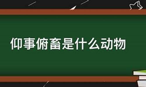 仰事俯畜是什么动物-仰事俯畜是什么动物图片