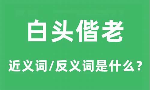 白头偕老的意思解释-白头偕老的意思是