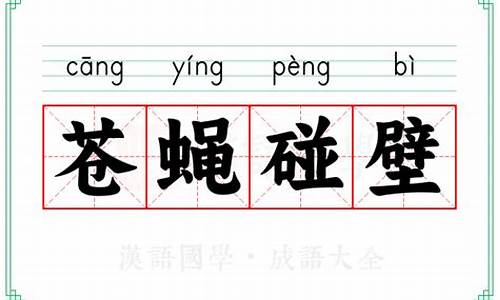 苍蝇碰壁-苍蝇碰壁打一正确生肖