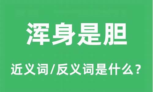 浑身是胆的意思解释-浑身是胆的是什么意思