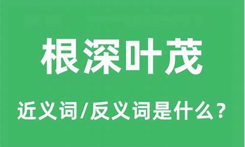 根深叶茂的意思是什么-根深叶茂是何道理?